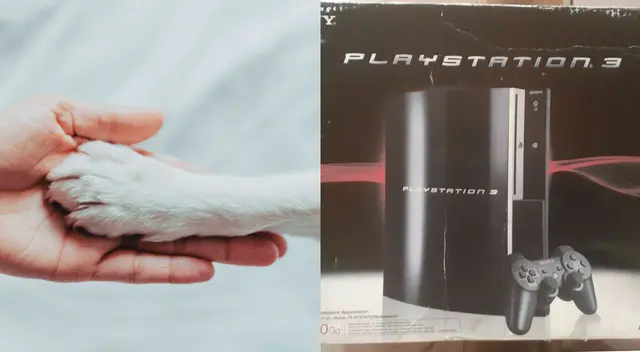 Joven vende su Play Station para pagar la operación a su perrita Joven vende su Play Station para pagar la operación a su perrita