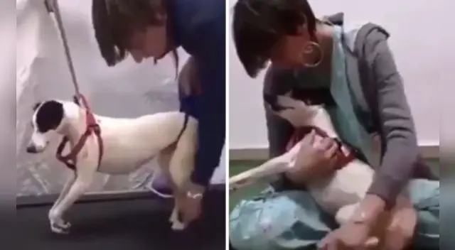 La escena se ha robado el corazón de miles de usuarios en las redes sociales. La escena se ha robado el corazón de miles de usuarios en las redes sociales.