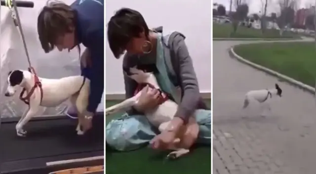 El clip cuenta con miles de reproducciones en Twitter. El clip cuenta con miles de reproducciones en Twitter.