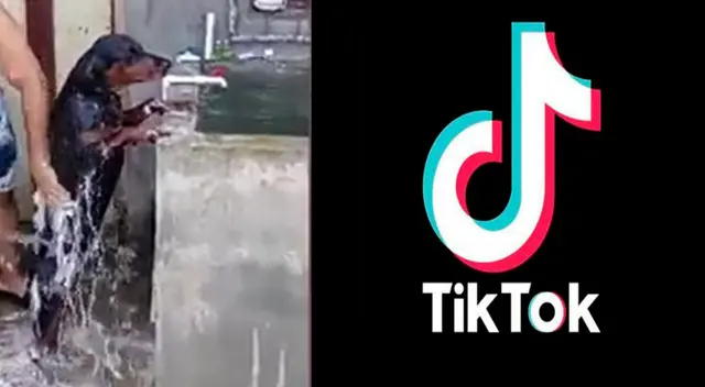 Peculiar baño del perro se viralizó en las redes sociales. Peculiar baño del perro se viralizó en las redes sociales.