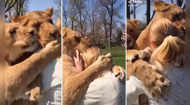 La publicación de TikTok cuenta con miles de reacciones y cientos de comentarios. La publicación de TikTok cuenta con miles de reacciones y cientos de comentarios.