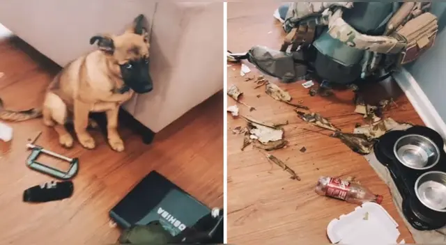 La publicación de TikTok cuenta con miles de reacciones y cientos de comentarios. La publicación de TikTok cuenta con miles de reacciones y cientos de comentarios.