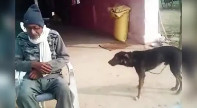 La historia causó todo tipo de reacciones en las redes sociales.