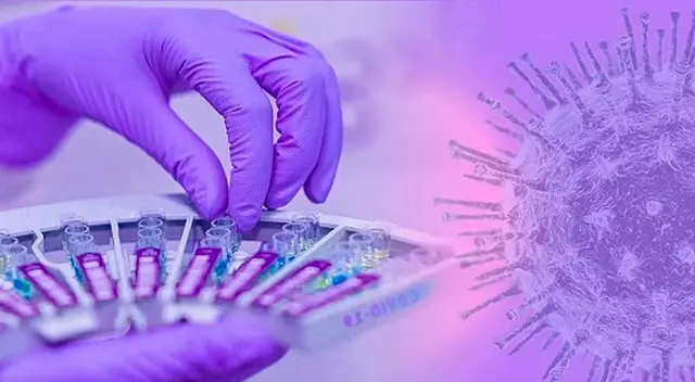 El anticuerpo monoclonal que fue bautizado como ADG-2.