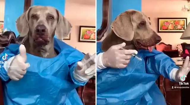 La emoción invade a miles de peruanos en las redes sociales por la llegada de la ansiada vacuna contra el COVID-19. La emoción invade a miles de peruanos en las redes sociales por la llegada de la ansiada vacuna contra el COVID-19.