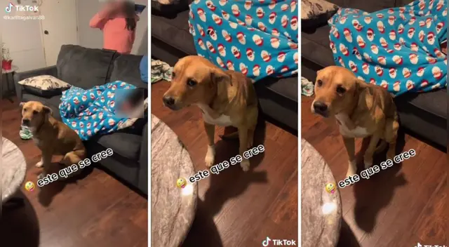 La escena causó sensación en las redes sociales. La escena causó sensación en las redes sociales.