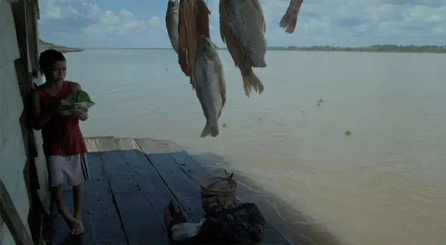 El Silencio del Río El Silencio del Río