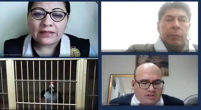 Condenan a 20 años de cárcel a Luis David Valle Bendezu por asesinar a su abuela Adelaida Bendezú Canales del Valle Condenan a 20 años de cárcel a Luis David Valle Bendezu por asesinar a su abuela Adelaida Bendezú Canales del Valle