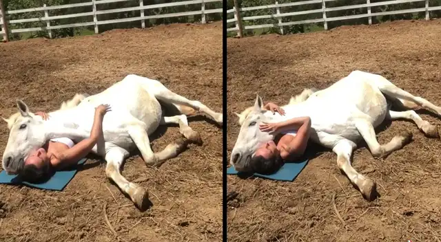 Peculiar video de joven con caballo se viralizó en las redes sociales.