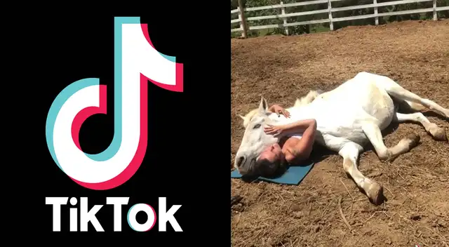 Peculiar video de joven con caballo se viralizó en las redes sociales.