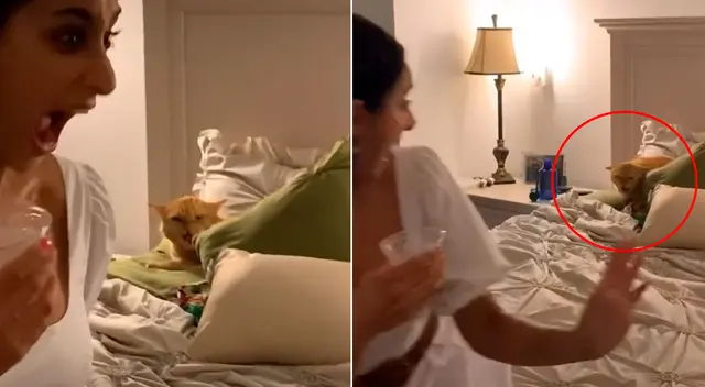 El video viral logró obtener más de 3.8 millones de reproducciones en TikTok. El video viral logró obtener más de 3.8 millones de reproducciones en TikTok.