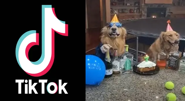 Peculiar video del perro se viralizó en las redes sociales. Peculiar video del perro se viralizó en las redes sociales.