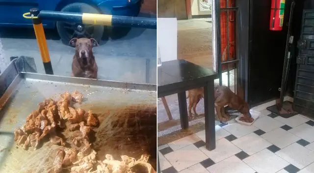 La conmovedora fotografía logró obtener más de 89 mil reacciones en Facebook. La conmovedora fotografía logró obtener más de 89 mil reacciones en Facebook.