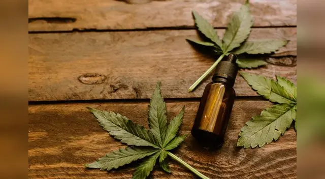 aceite de marihuana aceite de marihuana