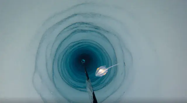 Los animales viven en completa oscuridad y con temperaturas de -2,2 ° C.