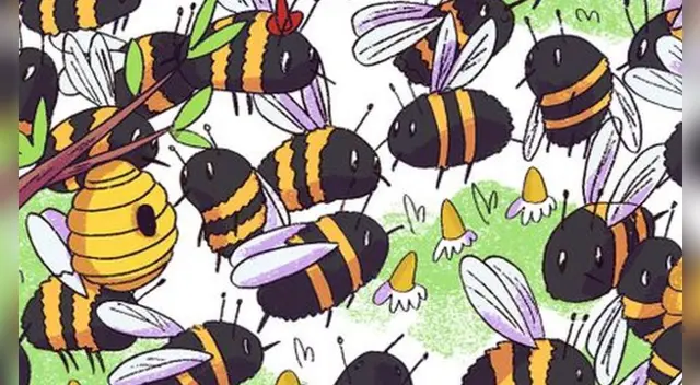 Tienes pocos segundos para dar con la respuesta. Tienes pocos segundos para dar con la respuesta.