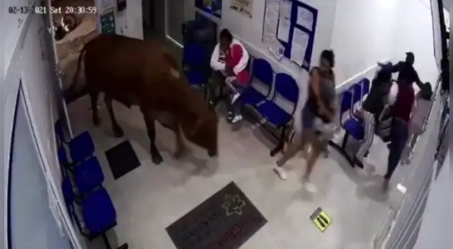 La escena generó todo tipo de comentarios en las redes sociales. La escena generó todo tipo de comentarios en las redes sociales.