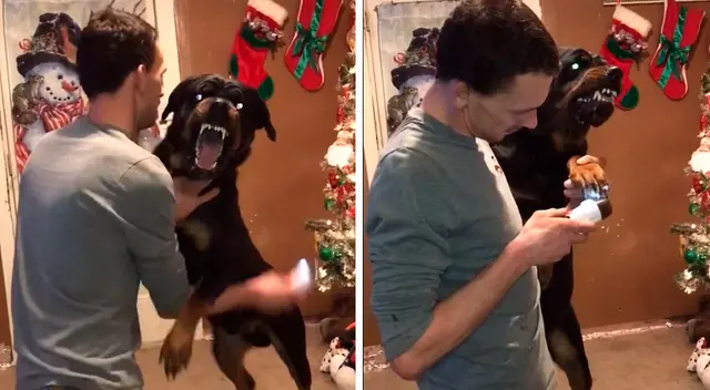 El joven lo besa para intentar calmarlo mientras le hace la pedicure, pero ningún tipo de cariño funciona. El joven lo besa para intentar calmarlo mientras le hace la pedicure, pero ningún tipo de cariño funciona.