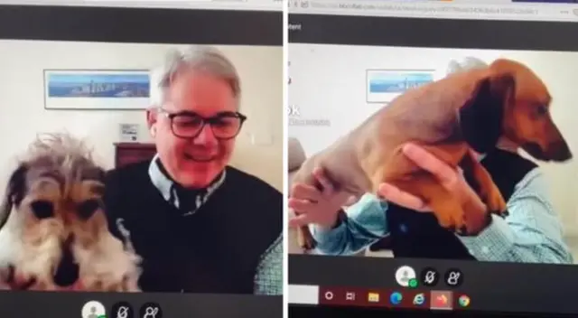 La singular escena cautivó a los usuarios en las redes sociales. La singular escena cautivó a los usuarios en las redes sociales.