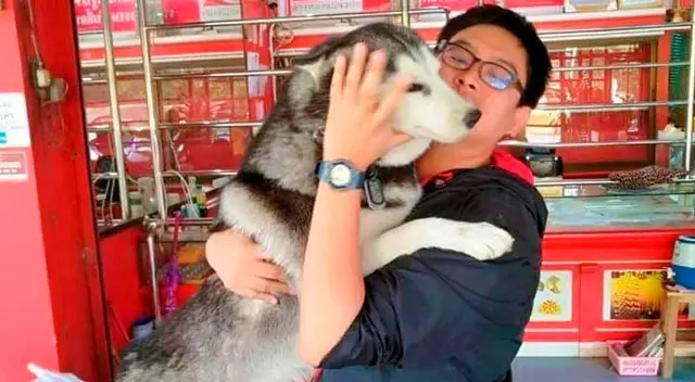 Lucky y su dueño tienen una buena relación. Lucky y su dueño tienen una buena relación.