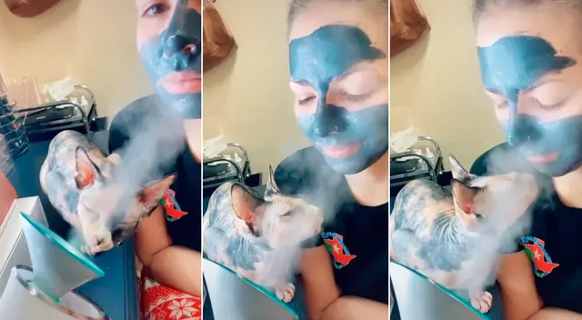 El felino aprovechó en tener un día de spa junto a su dueña. El felino aprovechó en tener un día de spa junto a su dueña.