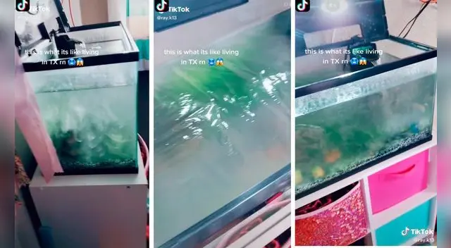 Texas registra desde hace días temperaturas extremadamente bajas por el paso de una tormenta invernal. Texas registra desde hace días temperaturas extremadamente bajas por el paso de una tormenta invernal.