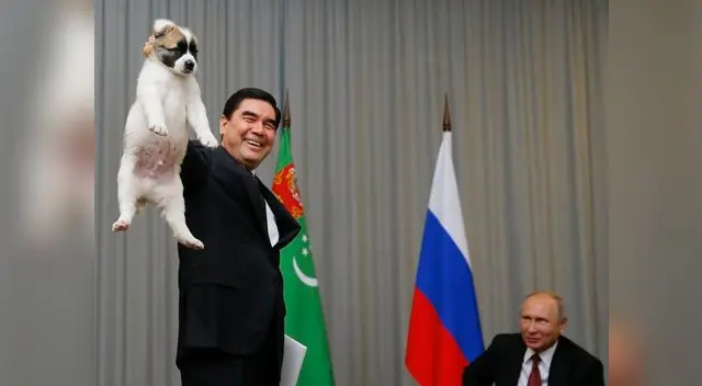 Y aunque muchos creen que por tratarse de un perro de raza, cargarlo así no le provoca dolor, la realidad es que sí le afecta pues le causa dolor y se considera un maltrato animal.