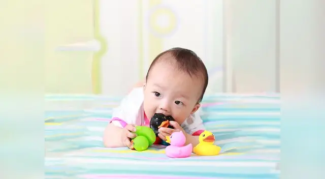 Los expertos recalcan en el estudio que "las exposiciones son generalizadas" y advierten que "la mayoría de las personas están expuestas a múltiples ortoftalatos de forma simultánea".