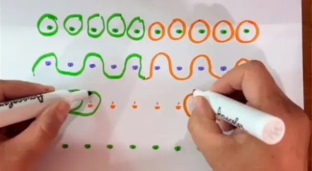 Solo necesitas una hoja bond y dos plumones para hacer este ejercicio de gimnasia cerebral. Solo necesitas una hoja bond y dos plumones para hacer este ejercicio de gimnasia cerebral.