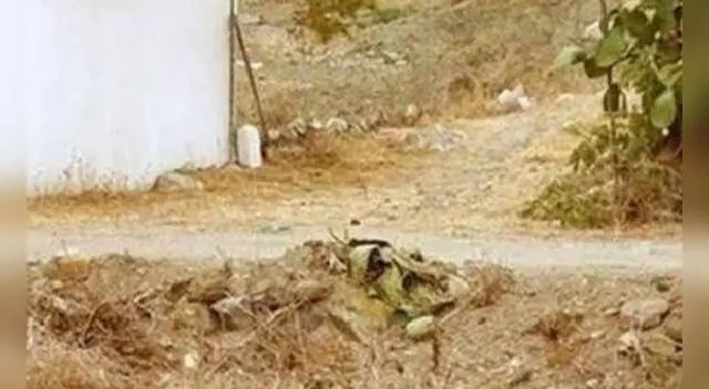 Tienes pocos segundos para dar con la respuesta.