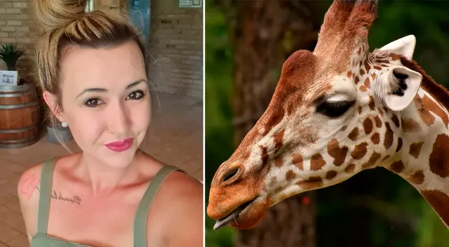 Merelize Van Der Merwe se defendió diciendo que la muerte de la jirafa “creó trabajo para 11 personas ese día” y “mucha carne para los lugareños”.