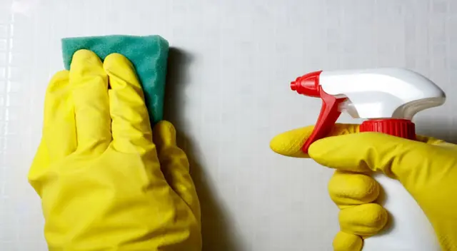 Protege tus manos con guantes y limpia con cuidado. Protege tus manos con guantes y limpia con cuidado.