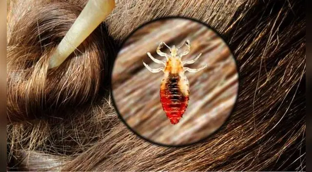 Todos los sueños ocultan un mensaje, algo que alerta sobre nuestras preocupaciones o problemas.