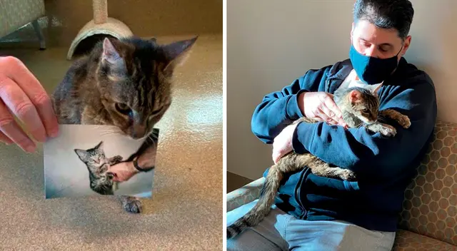 A pesar de los cambios físicos, Brandy conserva su tranquilidad, y su ternura. A pesar de los cambios físicos, Brandy conserva su tranquilidad, y su ternura.