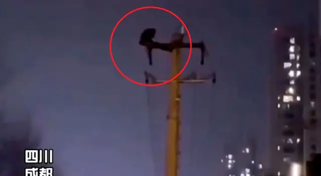 El joven subió al poste para relajarse, según contó a los oficiales. El joven subió al poste para relajarse, según contó a los oficiales.