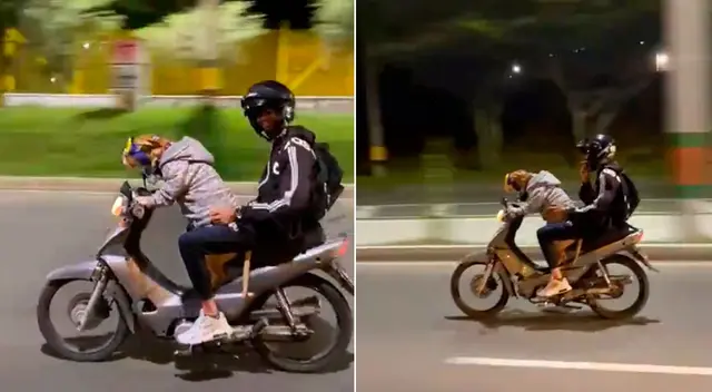 El perro y su dueño aprovecharon en dar un paseo en moto. El perro y su dueño aprovecharon en dar un paseo en moto.