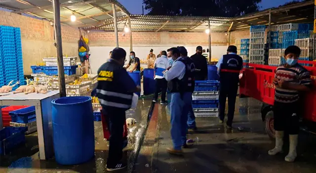 Pollos estaban en pésimas condiciones.