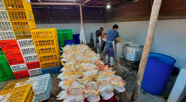Pollos estaban en pésimas condiciones.
