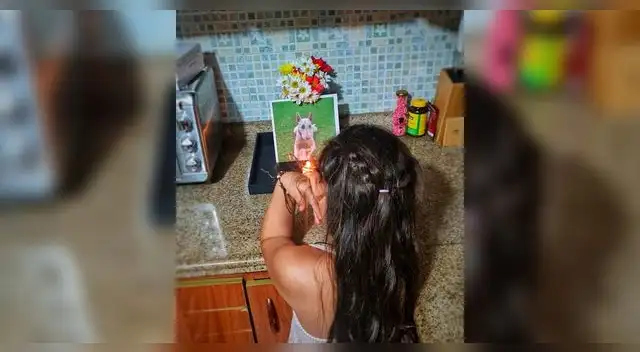 La cercanía que pueden entablar un niño con un mascota es realmente impresionante.