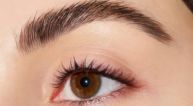 Los aceites naturales facilitan el crecimiento de las cejas. Los aceites naturales facilitan el crecimiento de las cejas.