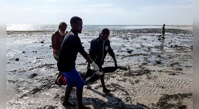 El número de migrantes que usó la ruta marítima entre el Cuerno de África y Yemen en 2019 superó por segundo año consecutivo el flujo de la ruta del Mediterráneo. El número de migrantes que usó la ruta marítima entre el Cuerno de África y Yemen en 2019 superó por segundo año consecutivo el flujo de la ruta del Mediterráneo.