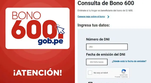 Bono 600: Validar datos para cobrar desde el celular Bono 600: Validar datos para cobrar desde el celular