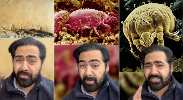 El video causó todo tipo de reacciones en las redes sociales.