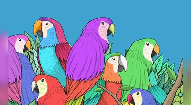 Pocos han podido dar con la respuesta correcta de este desafío viral.