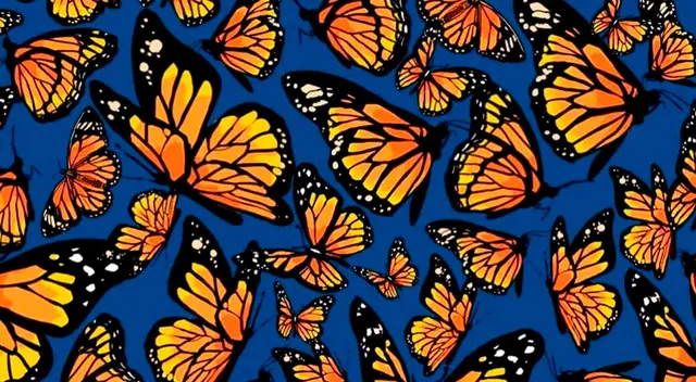 Este desafío pone a prueba tu agilidad visual. ¿Te animas a resolverlo?