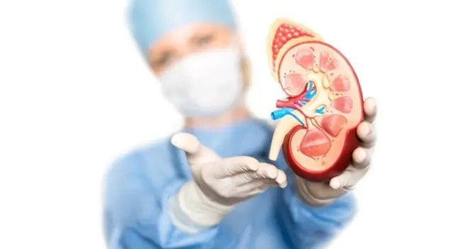 1 de cada 10 peruanos sufre de enfermedad renal crónica.