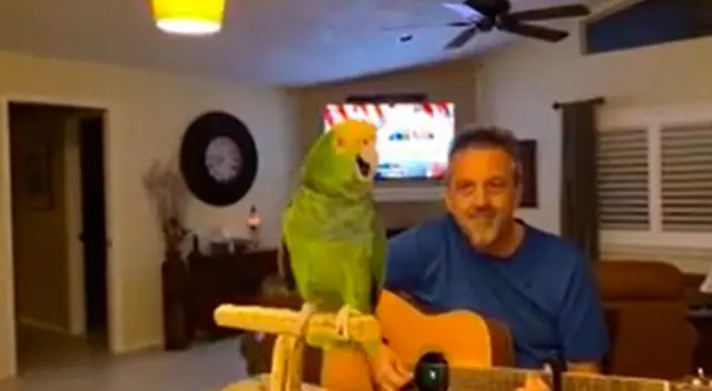 Loro dejó con la boca abierta a más de uno en TikTok