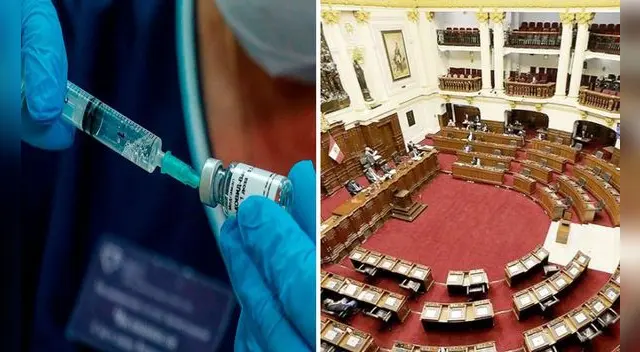 Investigadora principal UPCH responde en el Congreso Investigadora principal UPCH responde en el Congreso