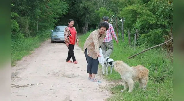Se perdió durante un viaje y ha esperado cuatro años en el lugar donde vio a sus dueños por última vez.