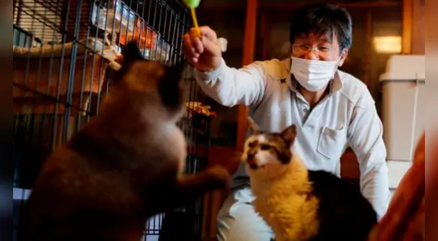 La historia del hombre ha dado la vuelta al mundo.